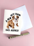 A New Best Friend Has Arrived Greeting Card