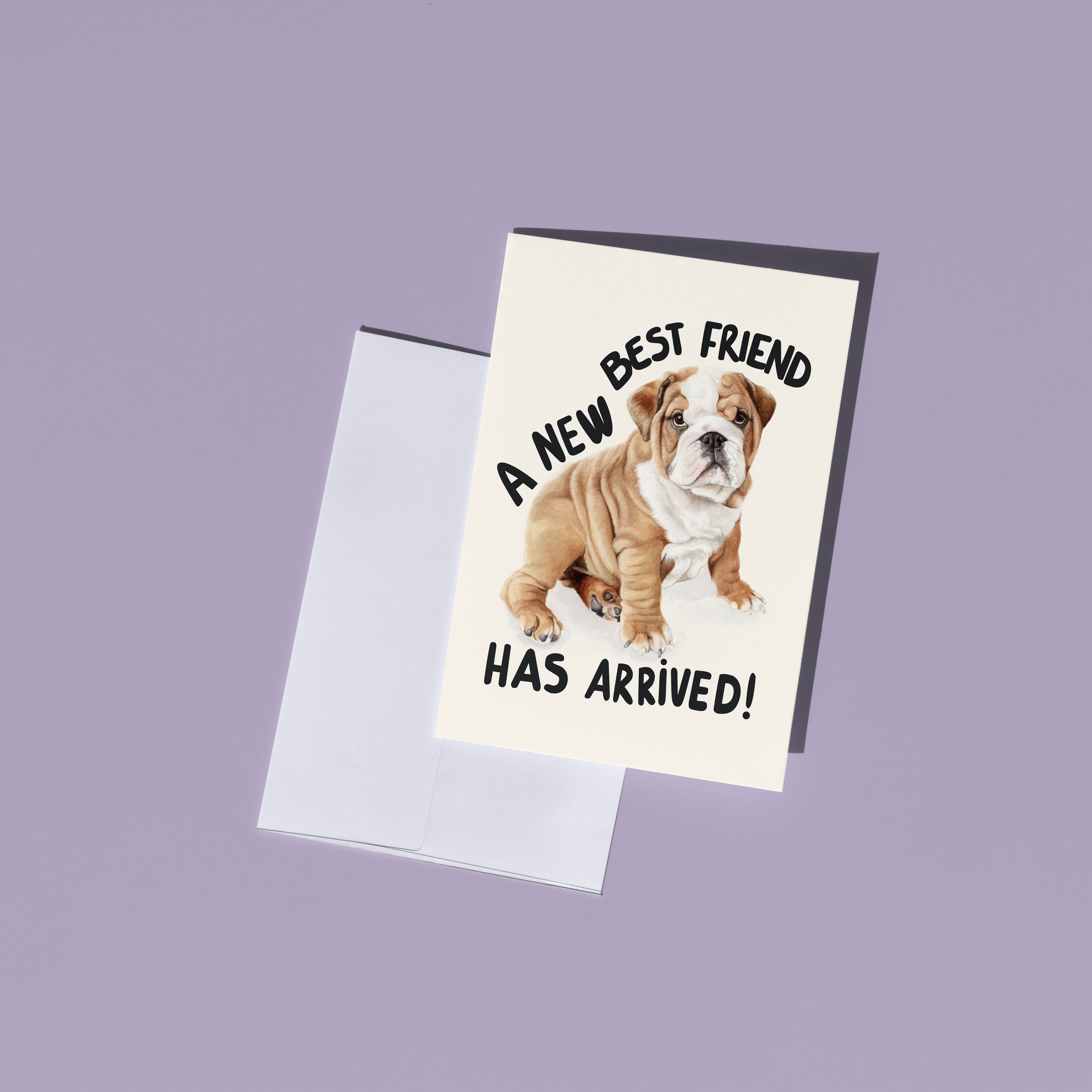 A greeting card with a white envelope on a solid lavender background. The card features an illustration of a brown and white bulldog with the text 'A NEW BEST FRIEND HAS ARRIVED!'.