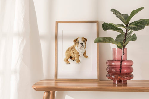 English Bulldog Puppy Art Print | Little Gentleman