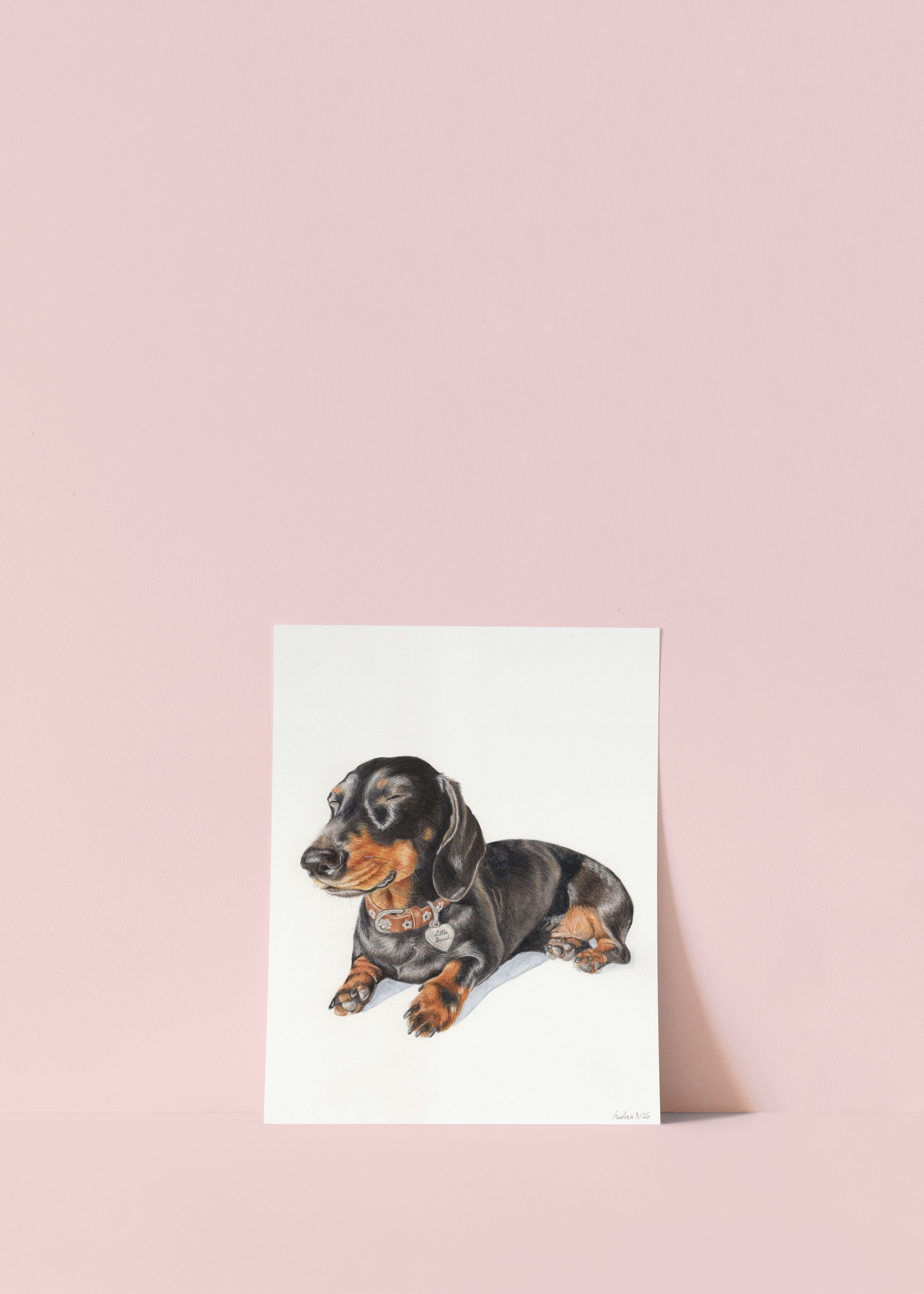 A vertical art print featuring a painted dachshund on a white background, leaning against a solid light pink wall.